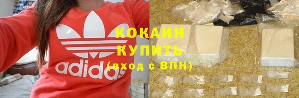 стаф Абинск