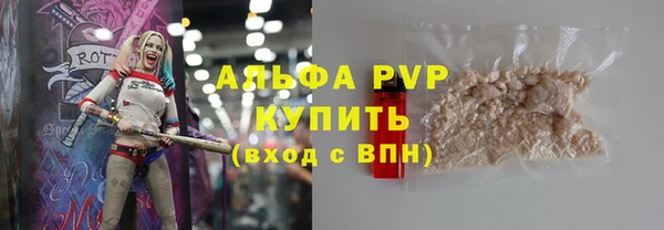 стаф Абинск