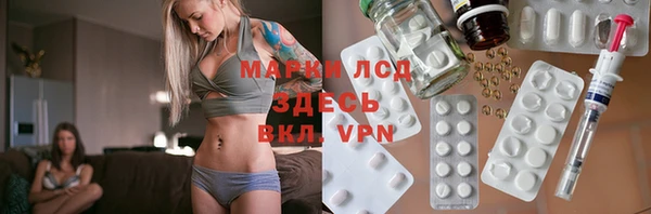 стаф Абинск