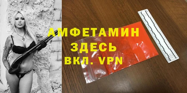 стаф Абинск