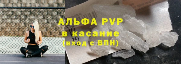 стаф Абинск