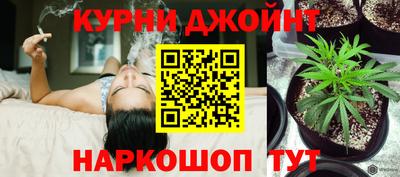 сатива Камышлов