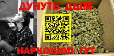 сатива Камышлов