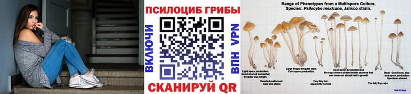 Псилоцибиновые грибы MAGIC MUSHROOMS Новочебоксарск