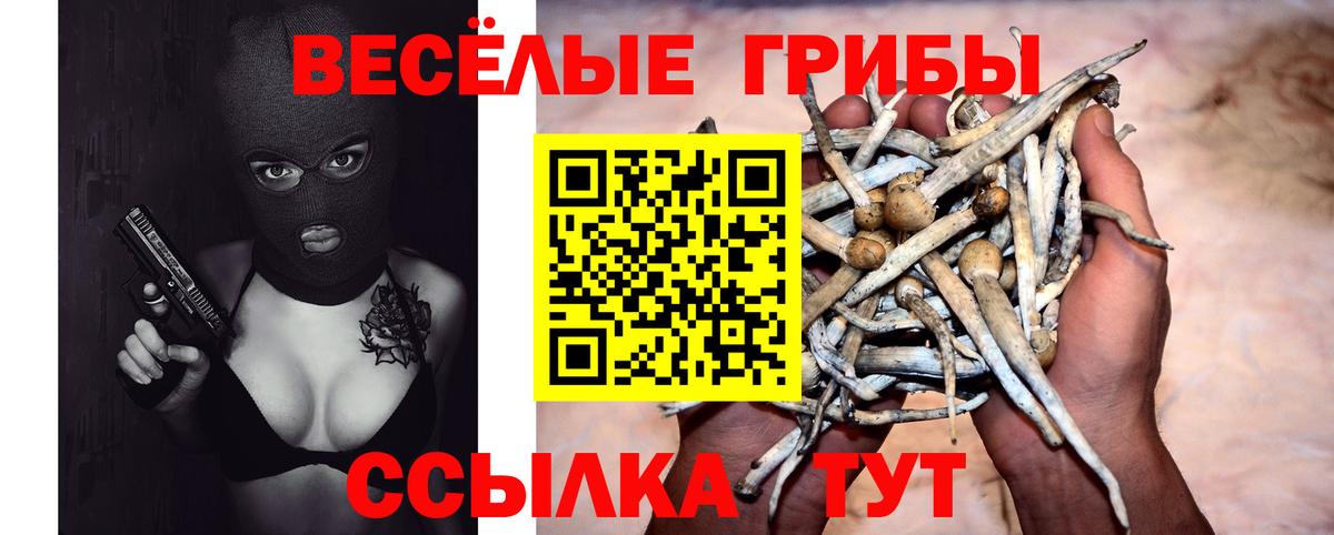 Новочебоксарск  Галлюциногенные грибы мицелий  Псилоцибиновые грибы Magic Shrooms  купить  сайты  Вход с VPN 